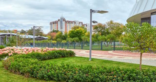 Профессиональное озеленение улиц в Люберцах в октябре