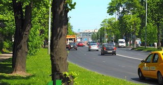 Посадка деревьев и кустарников в Люберцах — стоимость от 1263 руб.
